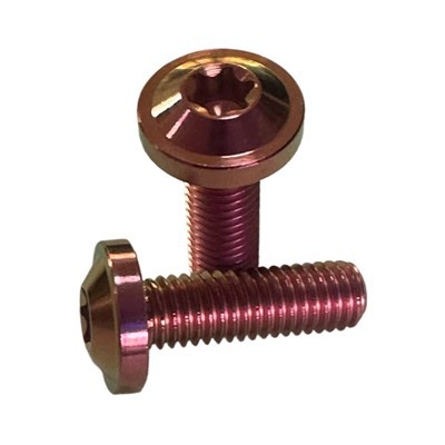 Sgriw Torx Pen Disg Alloy Titaniwm