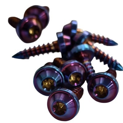 Titanium Alloy Truss Head Torx Self-Sgriw Tapio
